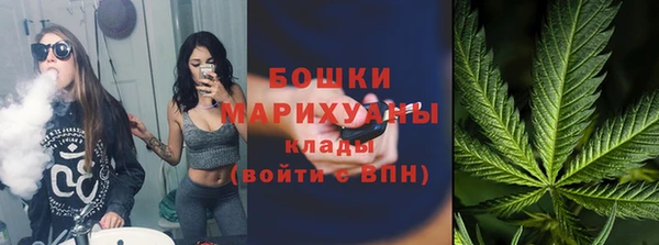 прущий лед Вяземский
