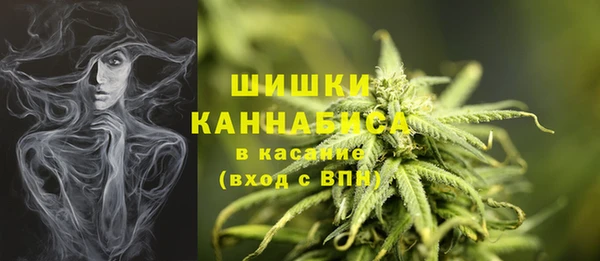 прущий лед Вяземский