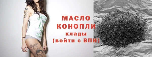 прущий лед Вяземский