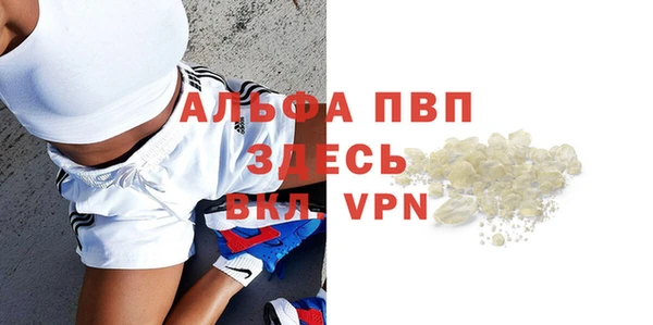 прущий лед Вяземский