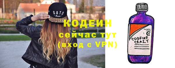 прущий лед Вяземский