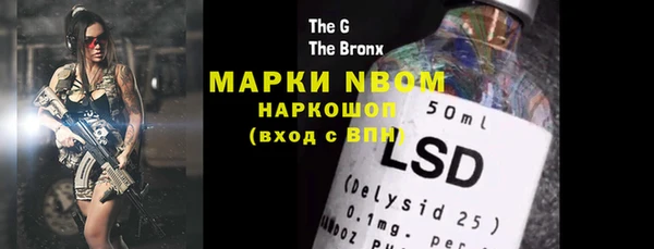 прущий лед Вяземский
