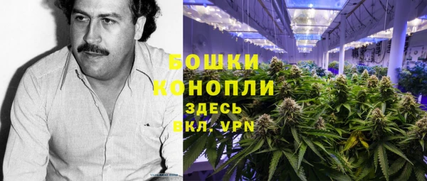 прущий лед Вяземский