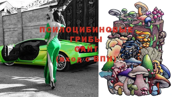 прущий лед Вяземский