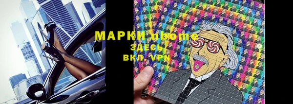 прущий лед Вяземский