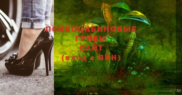 эйфоретик Вязьма
