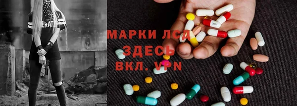 прущий лед Вяземский