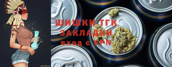 прущий лед Вяземский