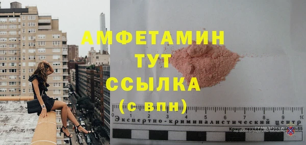 прущий лед Вяземский
